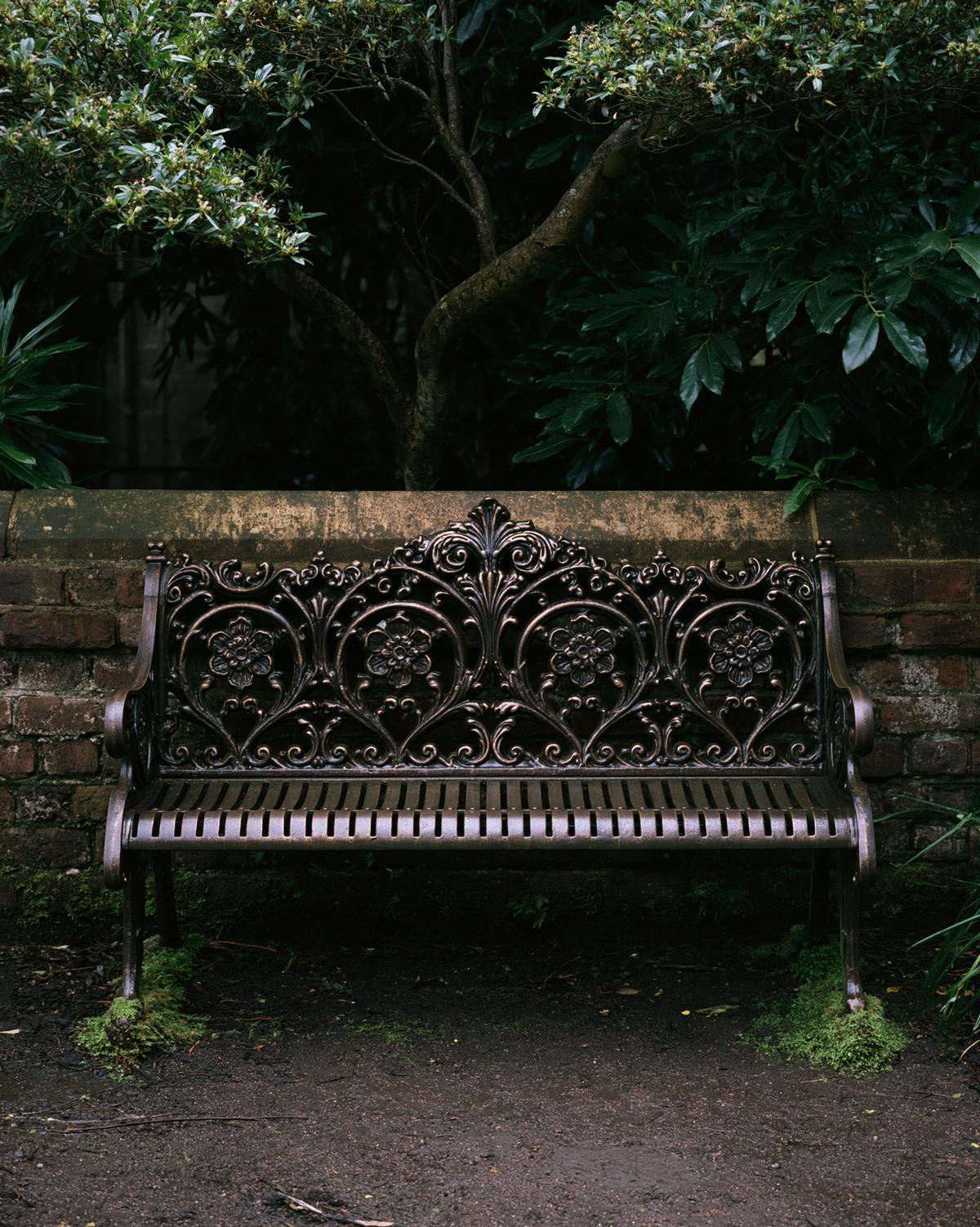 An ornate Victorian cast iron garden bench with floral scrollwork standing alone against an old brick wall beneath a tree, moss gathering at its feet