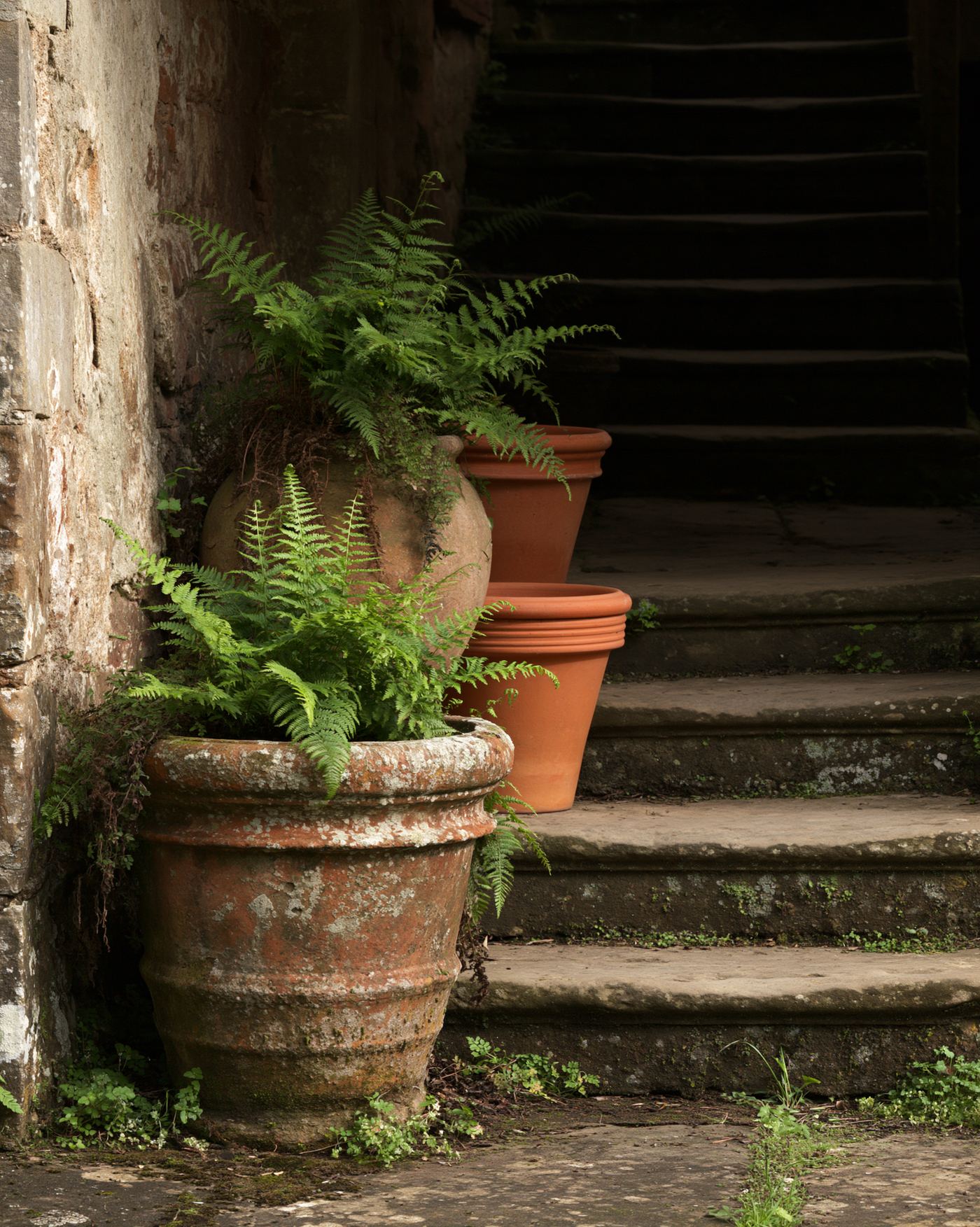 Three unglazed terracotta pots of visibly different ages on worn stone steps, the oldest crusted with lichen and the newest still bright orange, ferns spilling from each